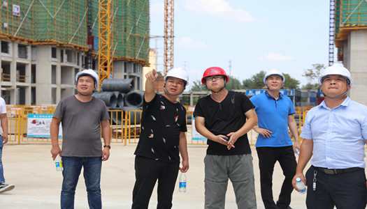 欧宝网页版登录入口董事会巡检圆满完成